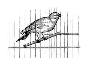 "Kanarienvogel in der Kohlemine": Ist die schwache Entwicklung vieler Rohstoffpreise ein Alarmsignal f&uuml;r die Aktienm&auml;rkte?