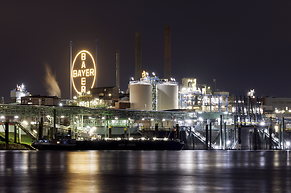 Investor Woche: Bayer im H&ouml;henflug, Israel greift Iran an, Einigung im Zollstreit zwischen USA und China, Gold h&auml;ngt den Euro ab, Silber auf 14-Jahres-Hoch