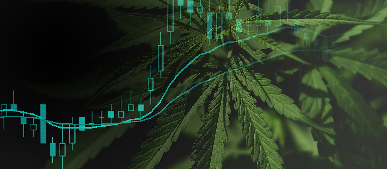 Bild zum Artikel: Gesundheitssektor: Trump gibt Cannabis-Aktien R&uuml;ckenwind - nur wie lange?