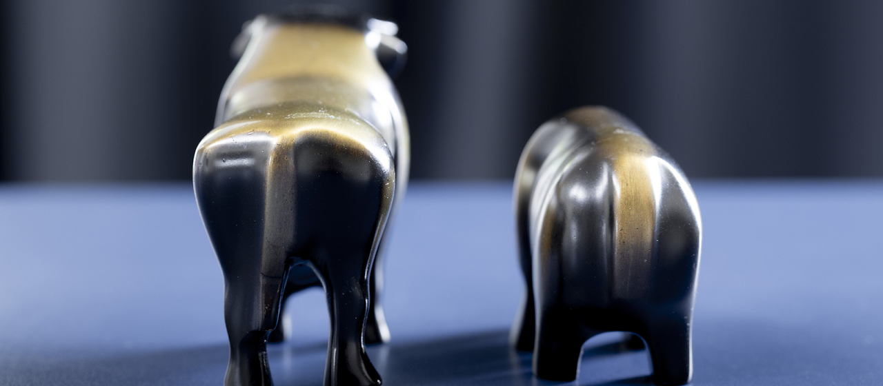 Bild zum Artikel: Krisenszenario: Aktien, Bonds, Realwirtschaft: Führt dieser Pfad in Richtung 1929?