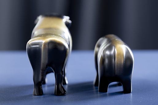 Krisenszenario: Aktien, Bonds, Realwirtschaft: F&uuml;hrt dieser Pfad in Richtung 1929?