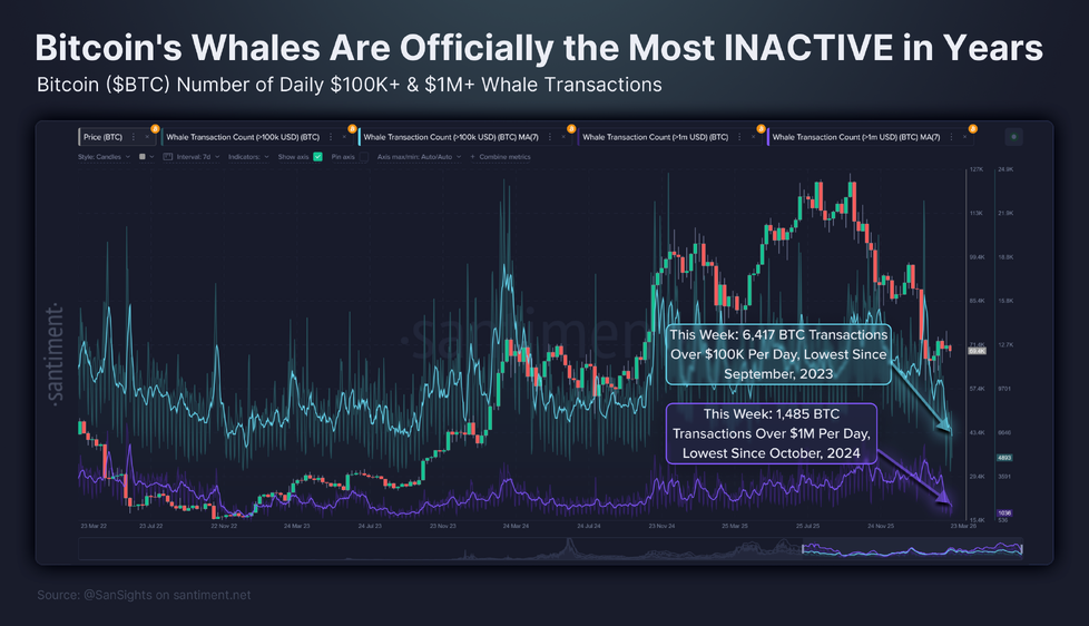 Investor Woche: Apple verlagert Produktion, Zinshoffnungen verdampfen im Kriegsrauch, Henkel und Merck kaufen zu, Porsche, Deutz, Barton Gold, Airbus
