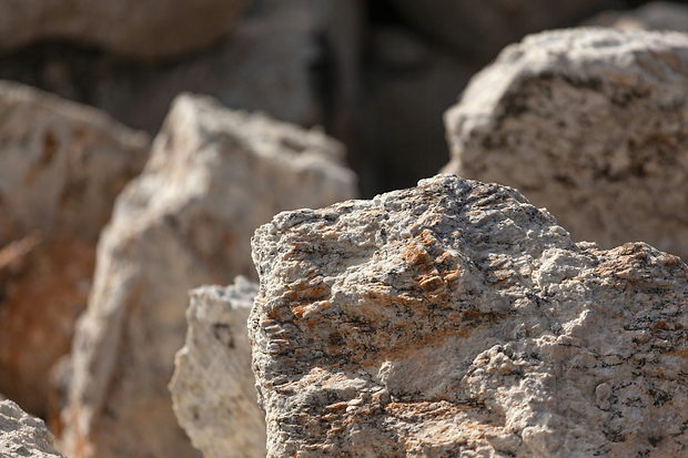 Lithium im Fokus: Hei&szlig;e Entwicklungen im Lithiummarkt: Critical Metals, Q2 Metals und Lithium Africa mit Top-Projektchancen