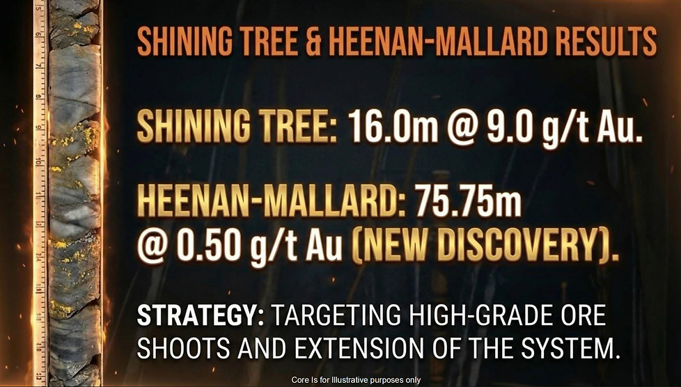 Shining Tree & Heenan-Mallard Ergebnisse