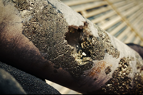 Milliarden f&uuml;r Goldprojekte: New Found Gold, Troilus Mining, Firefox Gold, Osisko Development, Amex Exploration und Dryden Gold im Anlegerfokus