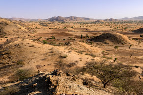 Afrikas Rohstoffboom: Zodiac Gold, Alpha Exploration, BHP, Montage Gold, Predictive Discovery und Robex Resources treiben neue Projekte voran