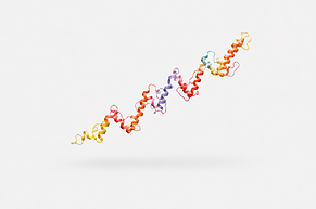 GLP-1 und mehr: Peptide-ETF geht an den Start
