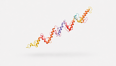 GLP-1 und mehr: Peptide-ETF geht an den Start