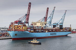 Rückenwind für Frachter: Maersk startet Pilotversuch mit Segelantrieb auf See