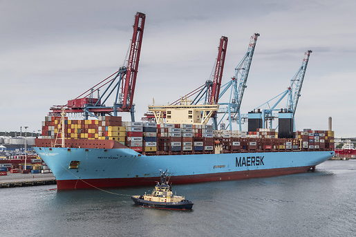Rückenwind für Frachter: Maersk startet Pilotversuch mit Segelantrieb auf See