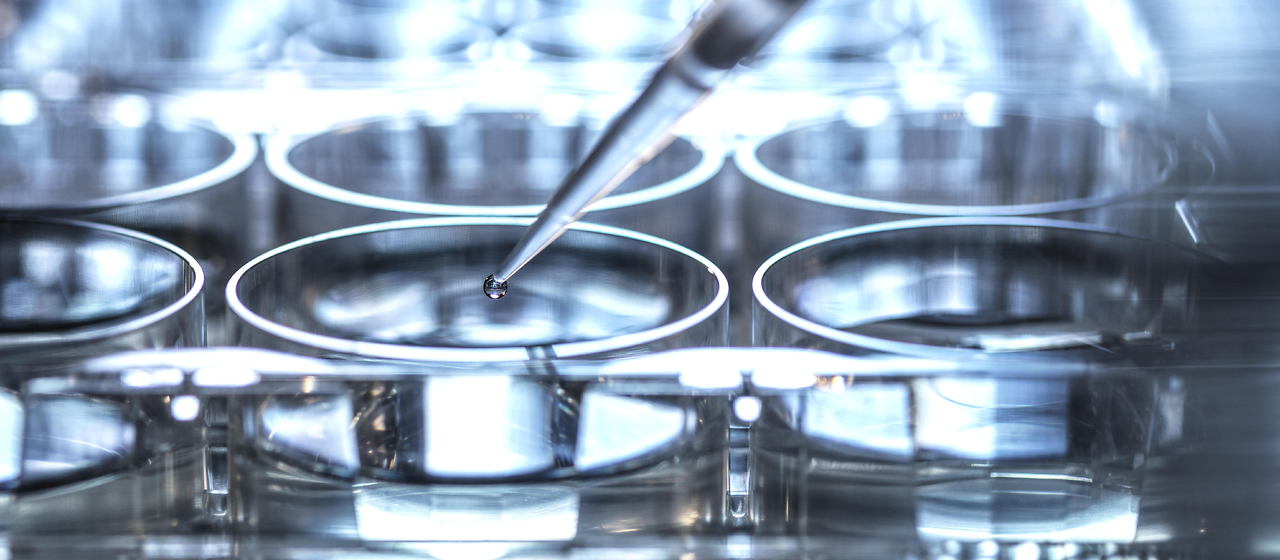 Bild zum Artikel: Pharma- und Biotech: Gesundheitsaktien ziehen dem breiten US-Markt davon