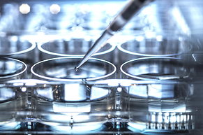 Pharma- und Biotech: Gesundheitsaktien ziehen dem breiten US-Markt davon