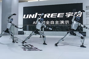 Boom mit Bremse: Chinas B&ouml;rsenaufsicht versch&auml;rft Pr&uuml;fung von Roboter-IPOs