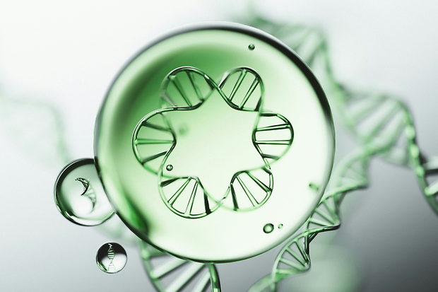 Biotech-Aktien vor dem Datentest: Morgan Stanley setzt auf Biotech-Moonshots: Argenx, Arrowhead, Incyte und Sana vor wichtigen Datentests
